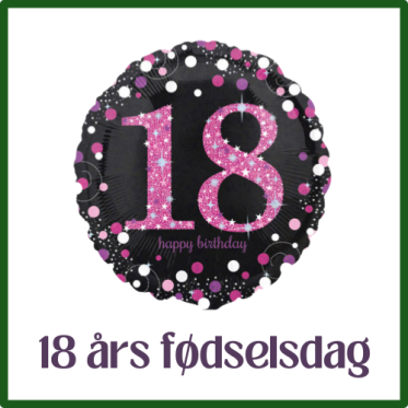 18 ÅRS FEST