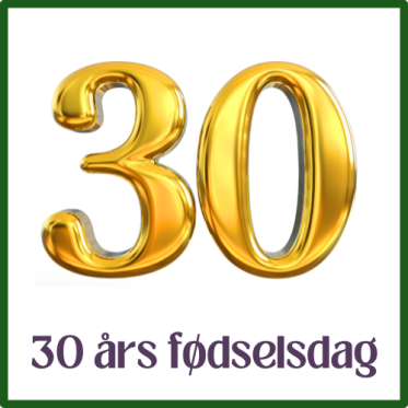 30 ÅRS FEST
