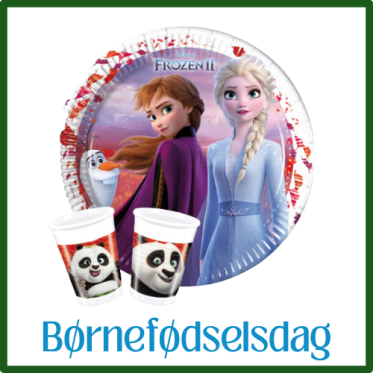 BØRNEFØDSELSDAG TEMAFEST