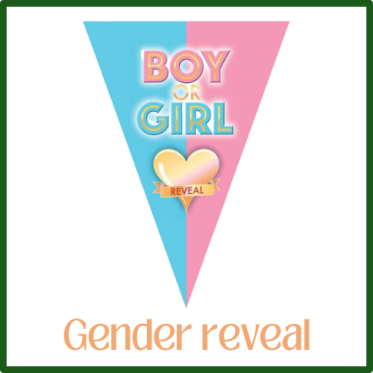 GENDER REVEAL