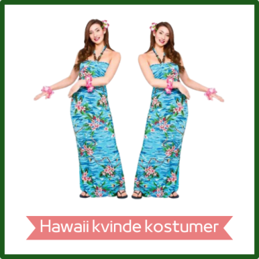 HAWAII kvinde kostumer
