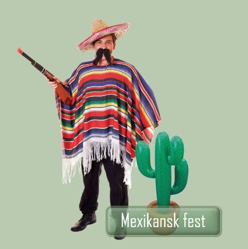 temafest | køb til Mexico fest