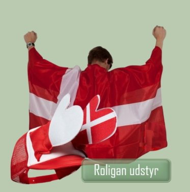 ROLIGANUDSTYR