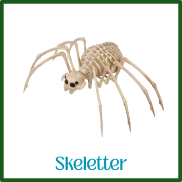 skelett till halloween