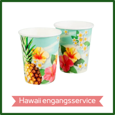 HAWAII Engangsservice