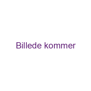 FASTELAVNSTØNDE