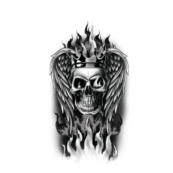 Falska skalletatueringar - 14x30