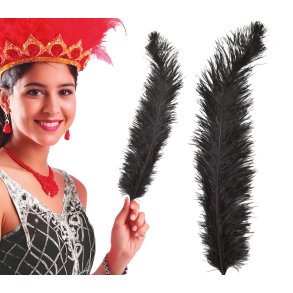 L�nga Svarta Strutsfj�drar � 12 st�50 cm