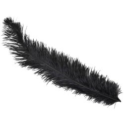 L�nga Svarta Strutsfj�drar � 12 st�50 cm