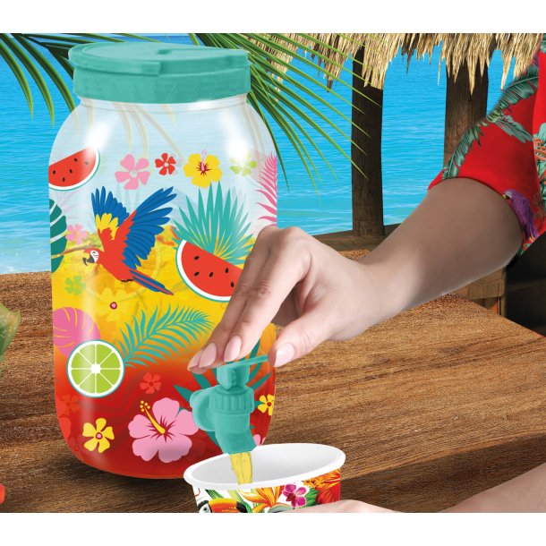 Hawaii Drycdispenser 