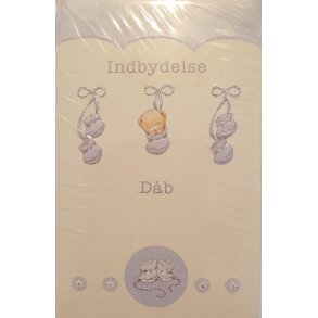 Barnedb indbydelse Babysko