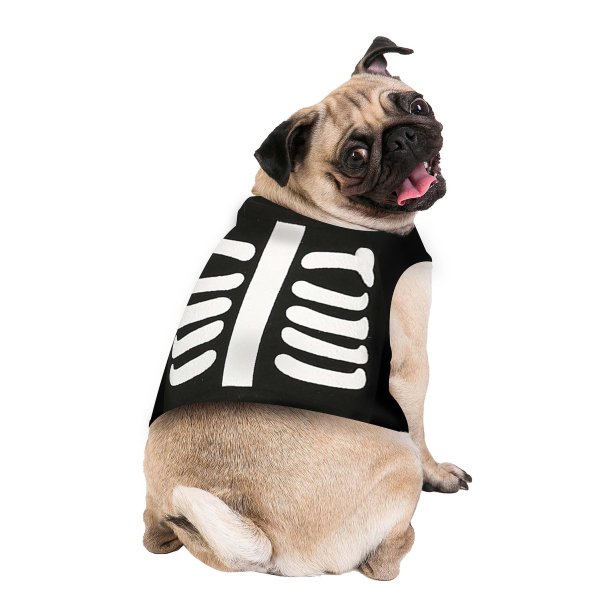 Halloween Hundedragt som skelet