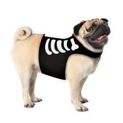 Halloween hunddrkt som ett skelett