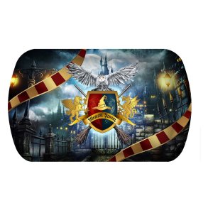 Harry Potter Fad -magic school