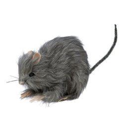 Lille fake rotte - 15cm