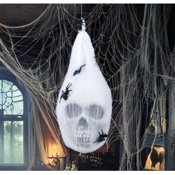 Spindelntspuppa med skalle