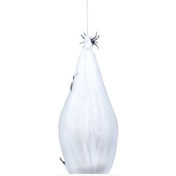 Spindelntspuppa med skalle