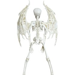 Skeletdjvel 40cm