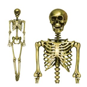 Guld Skelet - 160 cm