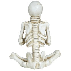 Siddende skelet i polyresin