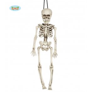 Skelet 40 cm i kraftig plast