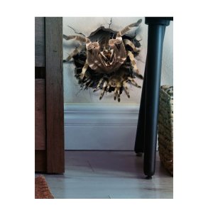 Vgdekoration - edderkop - 16x16