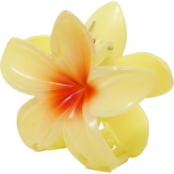Blomster h�rsclip i Gul-orange
