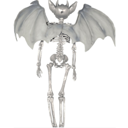 Vampyr skelet med vinger