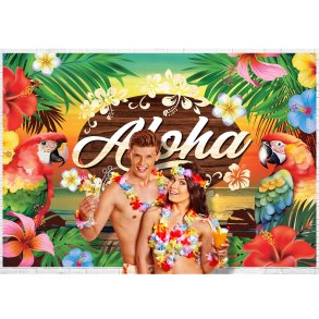 Dekoration hawaii banner