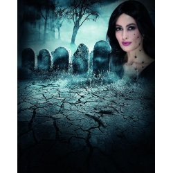 Halloween Spider 3d stickers