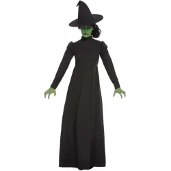 Wicked Witch kostume