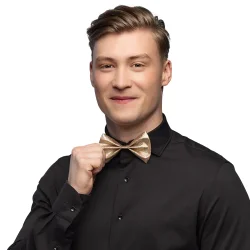 Fluga i guld glitter