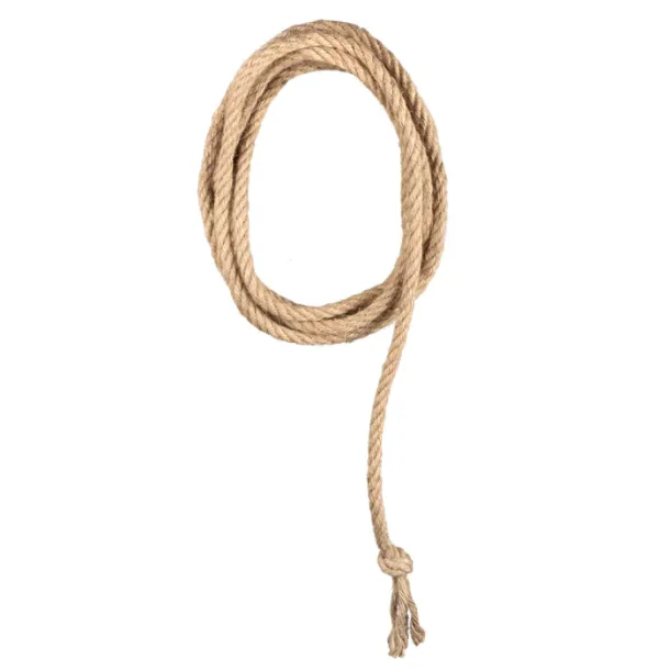 Western Lasso reb