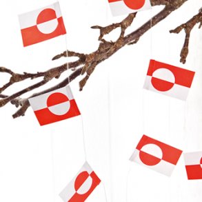 Flagranker 2 x 2 m, Grnlandske flag til juletret