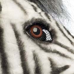 Zebra Plys Halvmaske