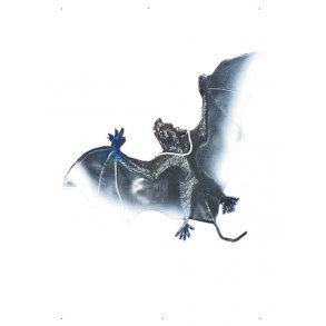 Flagermus i gummi til at hnge