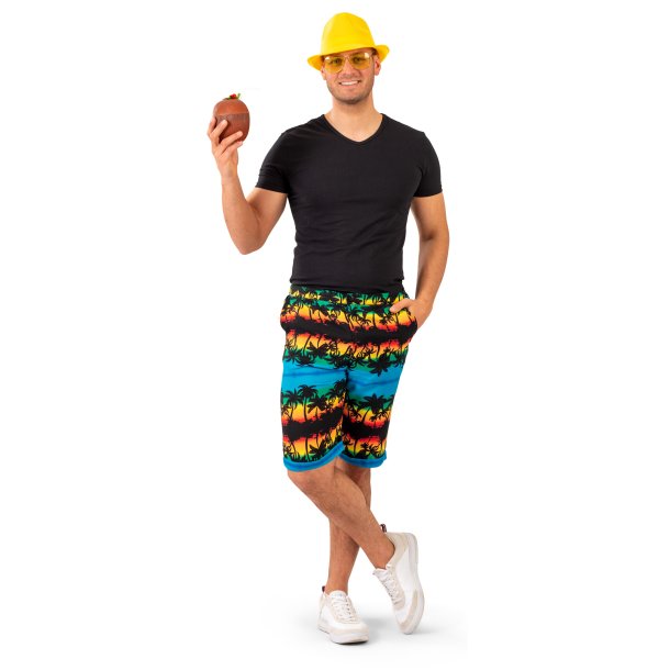 Hawaii Shorts