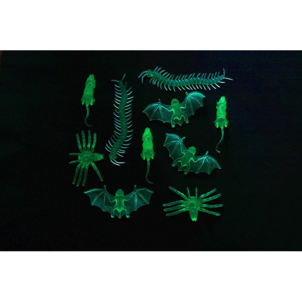 Sm Kryb Glow in the Dark