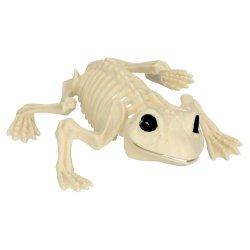 Skelet fr�