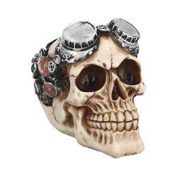 Skull Steampunk