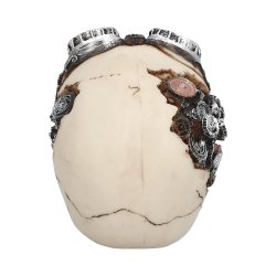 Skull Steampunk