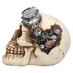 Skull Steampunk