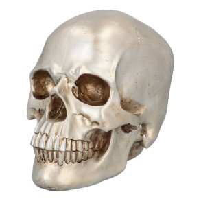 Skull Shine