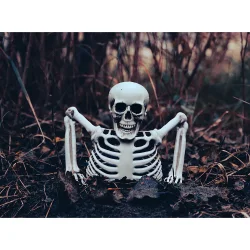 Framvxande skelett 20 cm