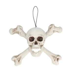 Skull Roger