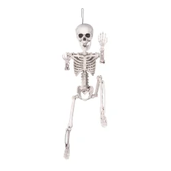 Skelet 60 cm - Position