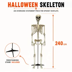 Skelet - Gigant 240cm
