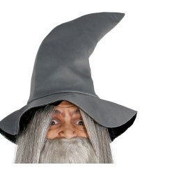 Troldmand Kostume Teen