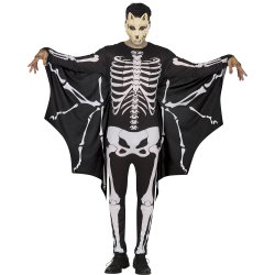 Fladdermus Skeleton