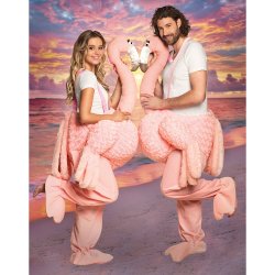 Rid p� Flamingo kostume